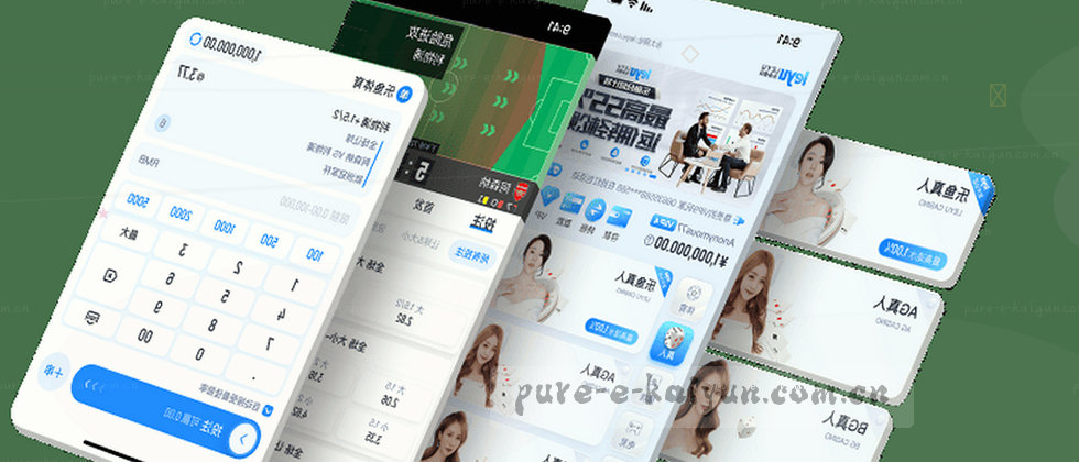 隐私政策与用户权益说明